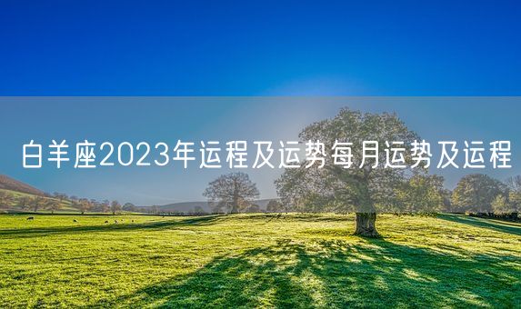 白羊座2023年运程及运势每月运势及运程(图1)