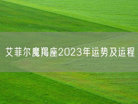 艾菲尔魔羯座2023年运势及运程(图1)