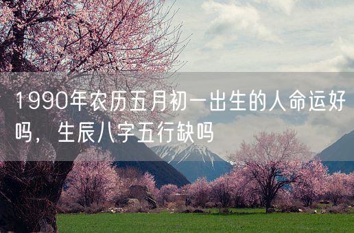 1990年农历五月初一出生的人命运好吗，生辰八字五行缺吗(图1)