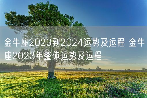 金牛座2023到2024运势及运程 金牛座2023年整体运势及运程(图1)