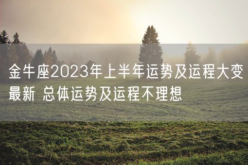 金牛座2023年上半年运势及运程大变最新 总体运势及运程不理想(图1)