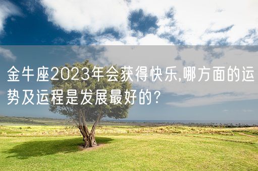 金牛座2023年会获得快乐,哪方面的运势及运程是发展最好的?(图1) 金牛座2023年会获得快乐,哪方面的运势及运程是发展最好的?(图1)