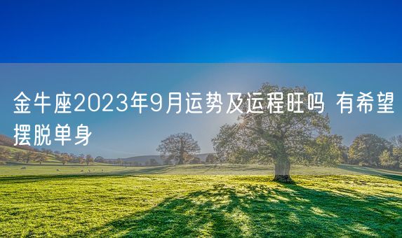 金牛座2023年9月运势及运程旺吗 有希望摆脱单身(图1) 金牛座2023年9月运势及运程旺吗 有希望摆脱单身(图1)