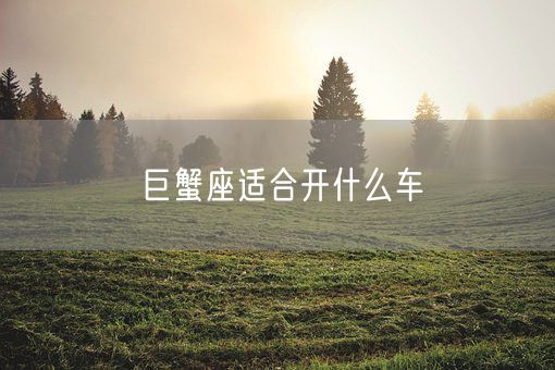 巨蟹座适合开什么车(图1)