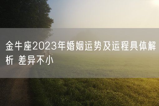 金牛座2023年婚姻运势及运程具体解析 差异不小(图1)