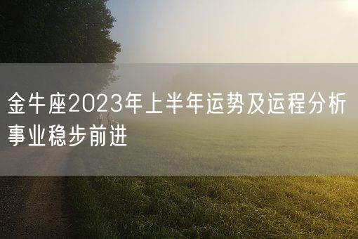 金牛座2023年上半年运势及运程分析 事业稳步前进(图1)