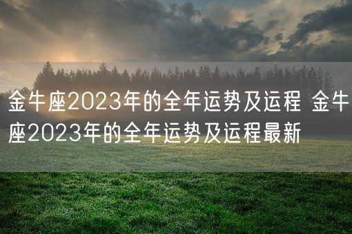 金牛座2023年的全年运势及运程 金牛座2023年的全年运势及运程最新(图1)