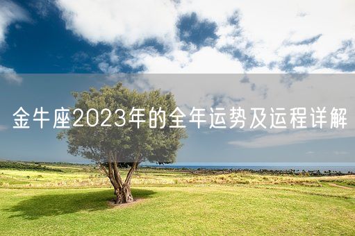 金牛座2023年的全年运势及运程详解(图1) 金牛座2023年的全年运势及运程详解(图1)