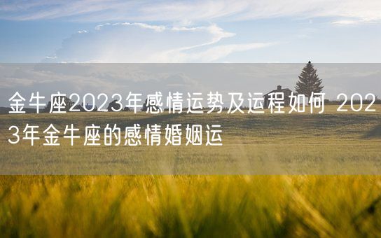 金牛座2023年感情运势及运程如何 2023年金牛座的感情婚姻运(图1) 金牛座2023年感情运势及运程如何 2023年金牛座的感情婚姻运(图1)