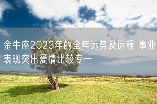 金牛座2023年的全年运势及运程 事业表现突出爱情比较专一(图1) 金牛座2023年的全年运势及运程 事业表现突出爱情比较专一(图1)