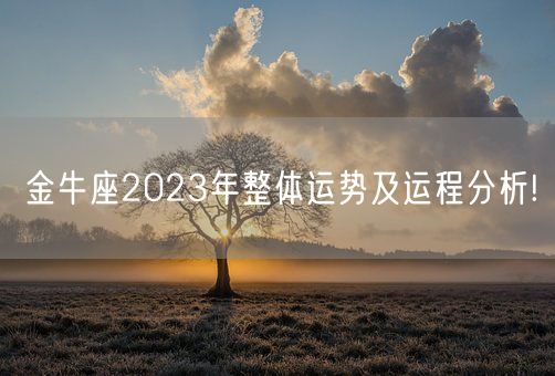 金牛座2023年整体运势及运程分析!(图1) 金牛座2023年整体运势及运程分析!(图1)