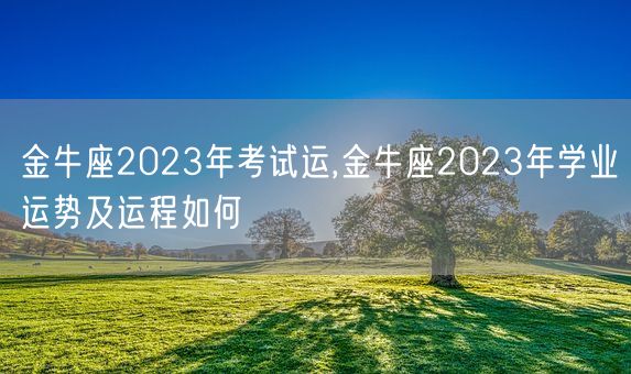 金牛座2023年考试运,金牛座2023年学业运势及运程如何(图1) 金牛座2023年考试运,金牛座2023年学业运势及运程如何(图1)