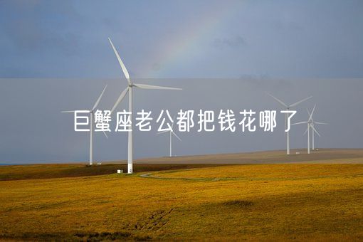 巨蟹座老公都把钱花哪了(图1)