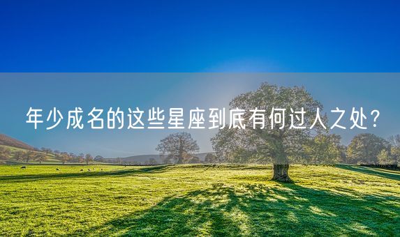 年少成名的这些星座到底有何过人之处？(图1)