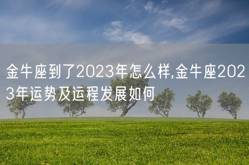 金牛座到了2023年怎么样,金牛座2023年运势及运程发展如何(图1) 金牛座到了2023年怎么样,金牛座2023年运势及运程发展如何(图1)