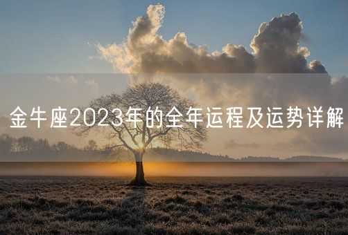 金牛座2023年的全年运程及运势详解(图1) 金牛座2023年的全年运程及运势详解(图1)