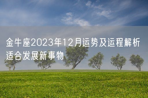 金牛座2023年12月运势及运程解析 适合发展新事物(图1)