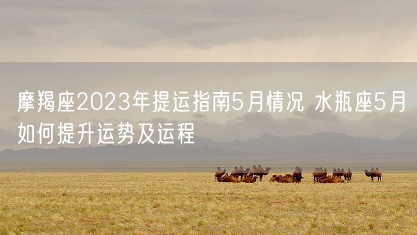摩羯座2023年提运指南5月情况 水瓶座5月如何提升运势及运程(图1)