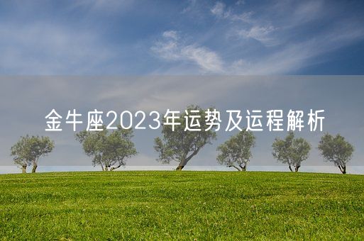 金牛座2023年运势及运程解析(图1) 金牛座2023年运势及运程解析(图1)