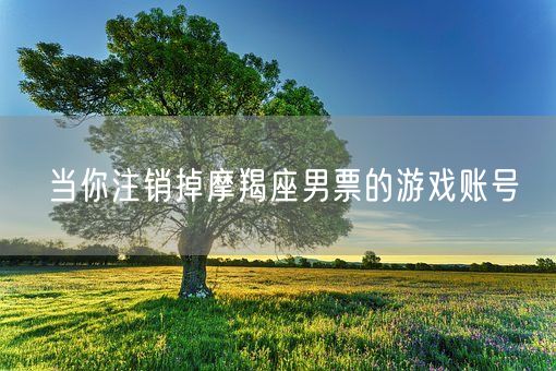 当你注销掉摩羯座男票的游戏账号(图1)