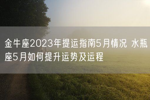 金牛座2023年提运指南5月情况 水瓶座5月如何提升运势及运程(图1) 金牛座2023年提运指南5月情况 水瓶座5月如何提升运势及运程(图1)