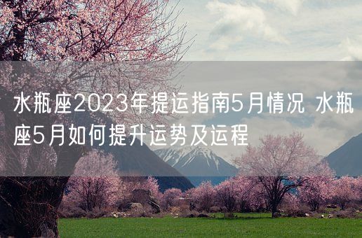 水瓶座2023年提运指南5月情况 水瓶座5月如何提升运势及运程(图1)