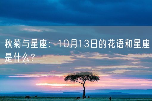 秋菊与星座：10月13日的花语和星座是什么？(图1)