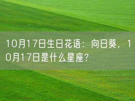 10月17日生日花语：向日葵，10月17日是什么星座？(图1)