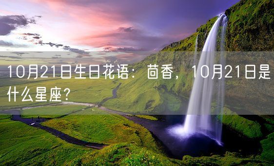 10月21日生日花语：茴香，10月21日是什么星座？(图1)