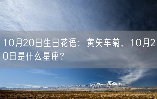 10月20日生日花语：黄矢车菊，10月20日是什么星座？(图1)