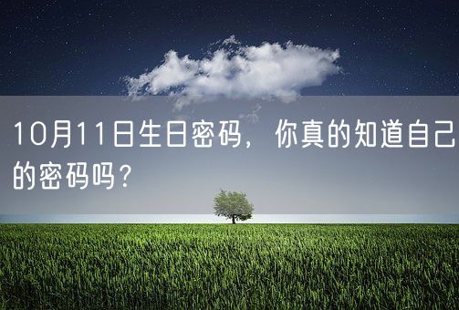 10月11日生日密码，你真的知道自己的密码吗？(图1)