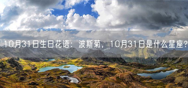 10月31日生日花语：波斯菊，10月31日是什么星座？(图1)