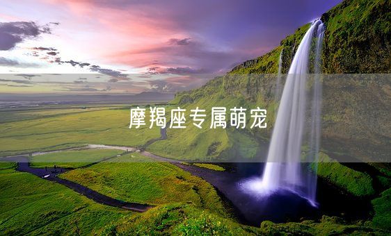 摩羯座专属萌宠(图1)