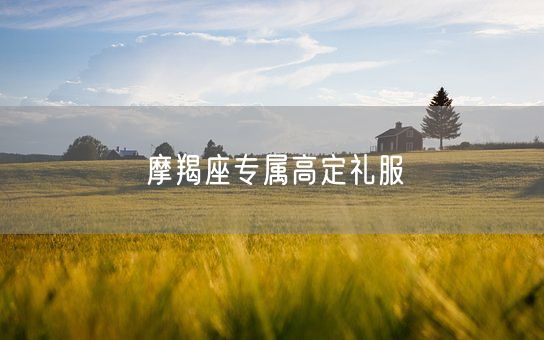 摩羯座专属高定礼服(图1)