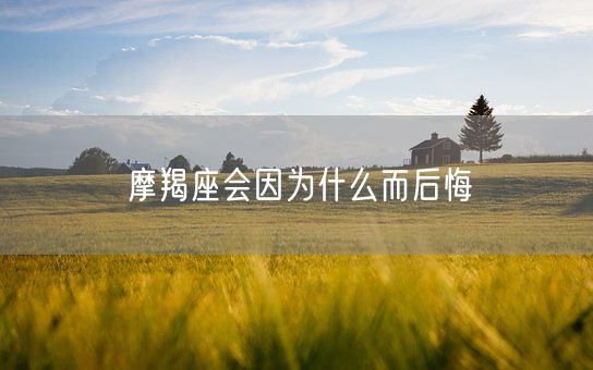 摩羯座会因为什么而后悔(图1)