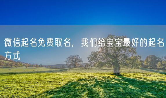 微信起名免费取名,我们给宝宝最好的起名方式(图1) 微信起名免费取名,我们给宝宝最好的起名方式(图1)