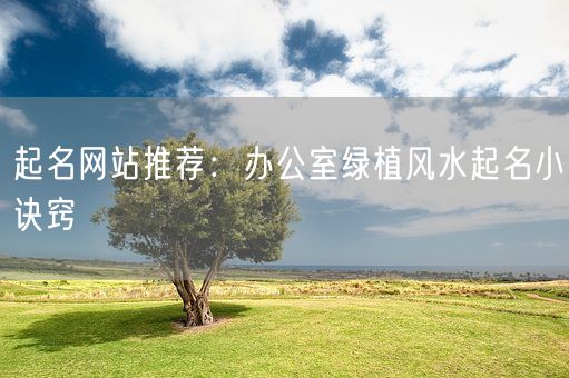起名网站推荐：办公室绿植风水起名小诀窍(图1)