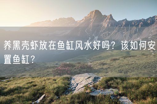 养黑壳虾放在鱼缸风水好吗？该如何安置鱼缸？(图1)