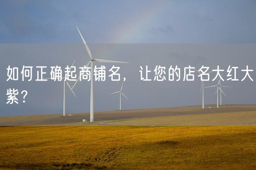 如何正确起商铺名,让您的店名大红大紫?(图1) 如何正确起商铺名,让您的店名大红大紫?(图1)