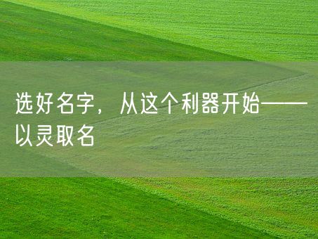选好名字,从这个利器开始——以灵取名(图1) 选好名字,从这个利器开始——以灵取名(图1)