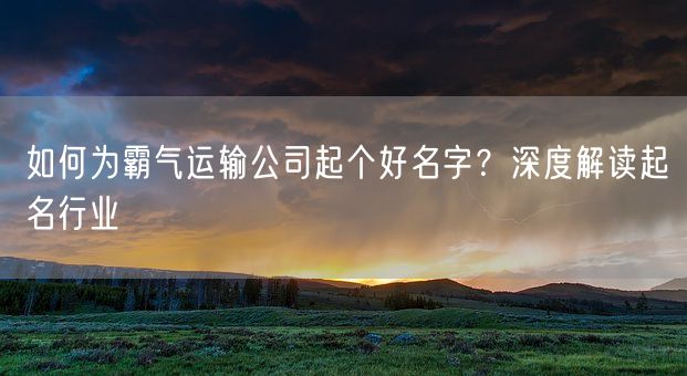 如何为霸气运输公司起个好名字？深度解读起名行业(图1)
