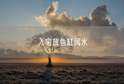 入宅放鱼缸风水(图1)