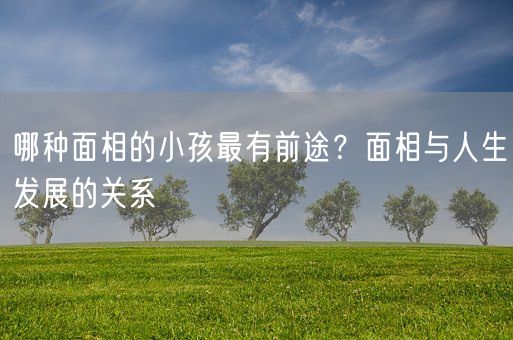 哪种面相的小孩最有前途？面相与人生发展的关系(图1)