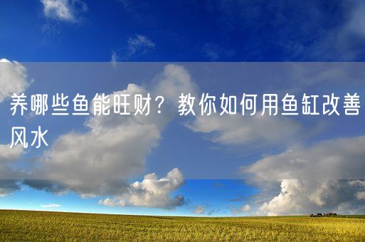 养哪些鱼能旺财？教你如何用鱼缸改善风水(图1)