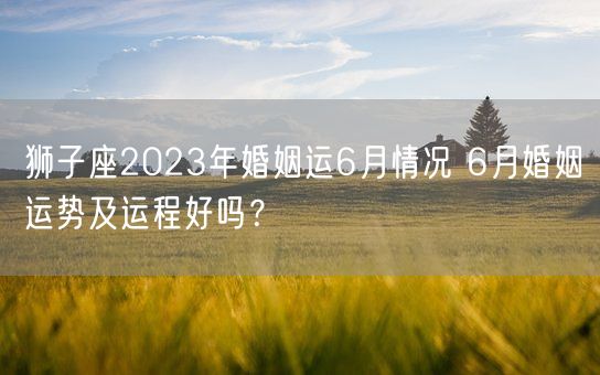 狮子座2023年婚姻运6月情况 6月婚姻运势及运程好吗？(图1)