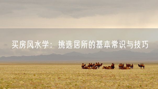 买房风水学:挑选居所的基本常识与技巧(图1) 买房风水学:挑选居所的基本常识与技巧(图1)