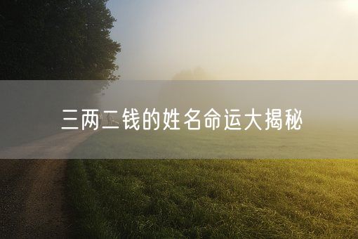 三两二钱的姓名命运大揭秘(图1) 三两二钱的姓名命运大揭秘(图1)