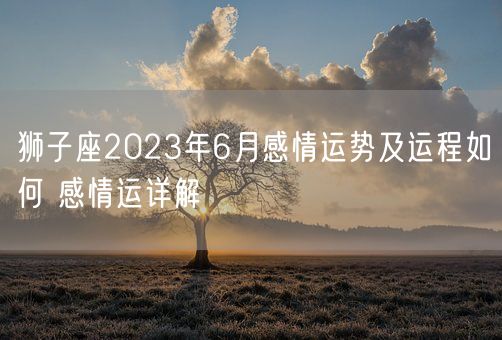 狮子座2023年6月感情运势及运程如何 感情运详解(图1)