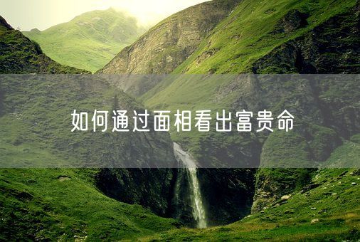 如何通过面相看出富贵命(图1)