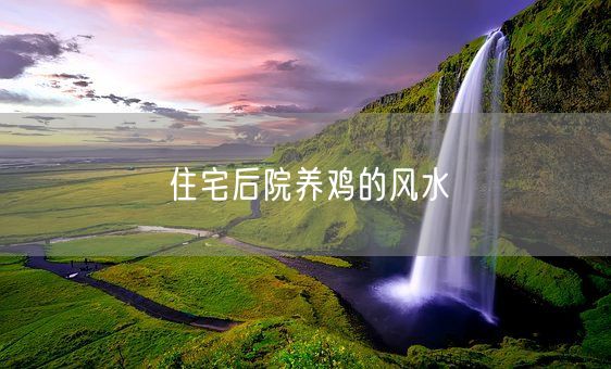 住宅后院养鸡的风水(图1)